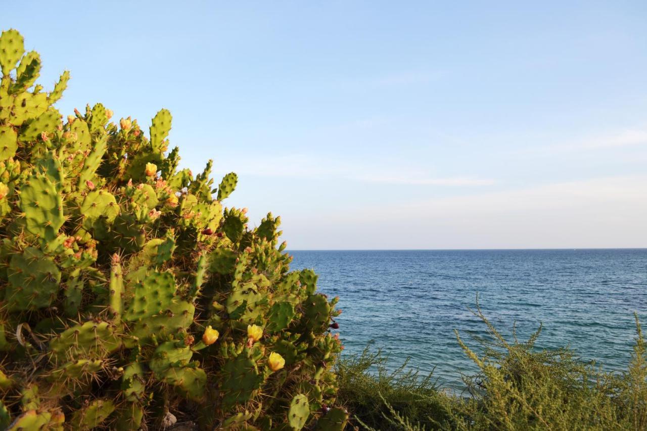Sea Top Flat S By Algest Διαμέρισμα Portimão Εξωτερικό φωτογραφία